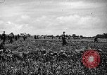 Image of United States Marines Okinawa Ryukyu Islands, 1945, second 4 stock footage video 65675070215