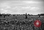 Image of United States Marines Okinawa Ryukyu Islands, 1945, second 5 stock footage video 65675070215