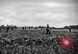 Image of United States Marines Okinawa Ryukyu Islands, 1945, second 6 stock footage video 65675070215