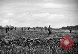 Image of United States Marines Okinawa Ryukyu Islands, 1945, second 7 stock footage video 65675070215