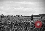 Image of United States Marines Okinawa Ryukyu Islands, 1945, second 10 stock footage video 65675070215