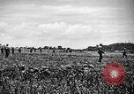Image of United States Marines Okinawa Ryukyu Islands, 1945, second 11 stock footage video 65675070215