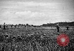 Image of United States Marines Okinawa Ryukyu Islands, 1945, second 13 stock footage video 65675070215