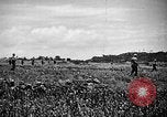 Image of United States Marines Okinawa Ryukyu Islands, 1945, second 14 stock footage video 65675070215
