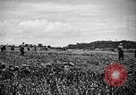 Image of United States Marines Okinawa Ryukyu Islands, 1945, second 17 stock footage video 65675070215