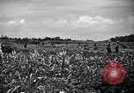 Image of United States Marines Okinawa Ryukyu Islands, 1945, second 19 stock footage video 65675070215