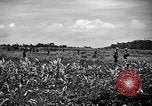 Image of United States Marines Okinawa Ryukyu Islands, 1945, second 20 stock footage video 65675070215