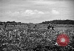 Image of United States Marines Okinawa Ryukyu Islands, 1945, second 21 stock footage video 65675070215