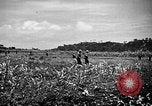 Image of United States Marines Okinawa Ryukyu Islands, 1945, second 22 stock footage video 65675070215