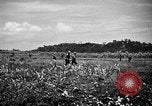 Image of United States Marines Okinawa Ryukyu Islands, 1945, second 23 stock footage video 65675070215