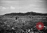 Image of United States Marines Okinawa Ryukyu Islands, 1945, second 24 stock footage video 65675070215