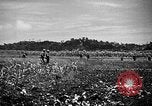 Image of United States Marines Okinawa Ryukyu Islands, 1945, second 25 stock footage video 65675070215