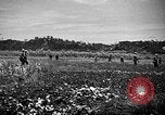 Image of United States Marines Okinawa Ryukyu Islands, 1945, second 27 stock footage video 65675070215