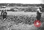 Image of United States Marines Okinawa Ryukyu Islands, 1945, second 36 stock footage video 65675070215