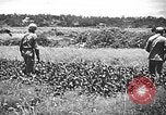 Image of United States Marines Okinawa Ryukyu Islands, 1945, second 37 stock footage video 65675070215
