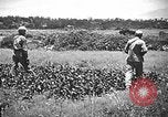 Image of United States Marines Okinawa Ryukyu Islands, 1945, second 38 stock footage video 65675070215