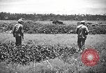 Image of United States Marines Okinawa Ryukyu Islands, 1945, second 40 stock footage video 65675070215