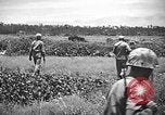 Image of United States Marines Okinawa Ryukyu Islands, 1945, second 42 stock footage video 65675070215