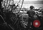 Image of United States Marines Okinawa Ryukyu Islands, 1945, second 54 stock footage video 65675070215