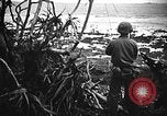 Image of United States Marines Okinawa Ryukyu Islands, 1945, second 55 stock footage video 65675070215