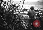 Image of United States Marines Okinawa Ryukyu Islands, 1945, second 56 stock footage video 65675070215