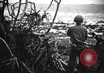 Image of United States Marines Okinawa Ryukyu Islands, 1945, second 57 stock footage video 65675070215