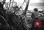 Image of United States Marines Okinawa Ryukyu Islands, 1945, second 59 stock footage video 65675070215