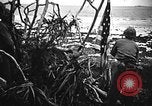 Image of United States Marines Okinawa Ryukyu Islands, 1945, second 60 stock footage video 65675070215