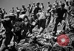 Immagine di Stati Uniti Marines Okinawa isole Ryukyu, 1945, secondo 51 filmato di repertorio 65675070218