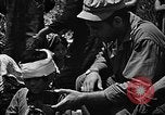 Immagine di Stati Uniti Marines Okinawa isole Ryukyu, 1945, secondo 52 filmato di repertorio 65675070219