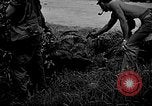 Image of United States Marines Okinawa Ryukyu Islands, 1945, second 29 stock footage video 65675070220