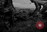 Image of United States Marines Okinawa Ryukyu Islands, 1945, second 30 stock footage video 65675070220