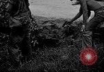 Image of United States Marines Okinawa Ryukyu Islands, 1945, second 31 stock footage video 65675070220
