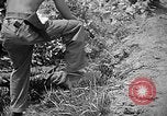 Image of United States Marines Okinawa Ryukyu Islands, 1945, second 35 stock footage video 65675070220
