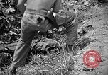 Image of United States Marines Okinawa Ryukyu Islands, 1945, second 41 stock footage video 65675070220