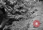 Image of United States Marines Okinawa Ryukyu Islands, 1945, second 42 stock footage video 65675070220
