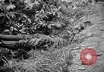 Image of United States Marines Okinawa Ryukyu Islands, 1945, second 43 stock footage video 65675070220