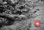 Image of United States Marines Okinawa Ryukyu Islands, 1945, second 44 stock footage video 65675070220