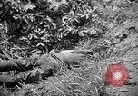 Image of United States Marines Okinawa Ryukyu Islands, 1945, second 45 stock footage video 65675070220