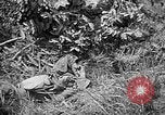 Image of United States Marines Okinawa Ryukyu Islands, 1945, second 47 stock footage video 65675070220