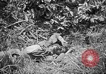 Image of United States Marines Okinawa Ryukyu Islands, 1945, second 48 stock footage video 65675070220