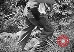 Image of United States Marines Okinawa Ryukyu Islands, 1945, second 50 stock footage video 65675070220