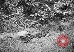 Image of United States Marines Okinawa Ryukyu Islands, 1945, second 51 stock footage video 65675070220