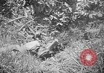Image of United States Marines Okinawa Ryukyu Islands, 1945, second 54 stock footage video 65675070220