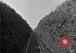 Image of banana plantation Hawaii USA, 1924, second 20 stock footage video 65675070222