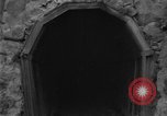 Image of banana plantation Hawaii USA, 1924, second 32 stock footage video 65675070222