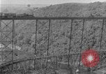 Image of banana plantation Hawaii USA, 1924, second 44 stock footage video 65675070222