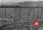 Image of banana plantation Hawaii USA, 1924, second 45 stock footage video 65675070222
