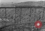 Image of banana plantation Hawaii USA, 1924, second 48 stock footage video 65675070222