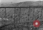 Image of banana plantation Hawaii USA, 1924, second 50 stock footage video 65675070222